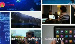 致富经cctv7视频,揭秘农村创业致富之路